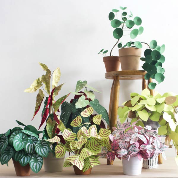 Paper Plants by Corrie Beth Hogg